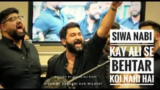 siwa nabi kay ali se behtar koi nahi hai by ali rizvi sachay 2019