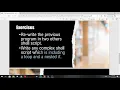 Lab 4 Shell Script ITT440
