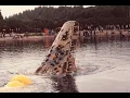 Lost WW2 Planes Hidden in Lakes
