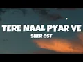 Download Lagu TERA NAL PYAR VE (Lyrics) | SHER OST | DANISH TAIMOOR | SARAH KHAN