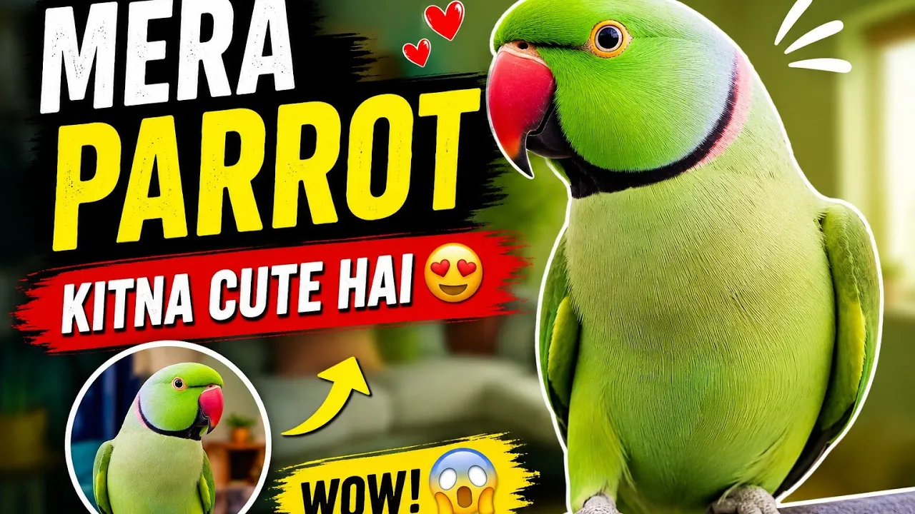 My parrot π¦π