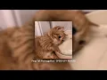 Download Lagu Pergi Tak Meninggalkan - SPEED UP AND REVERB ( Tiktok Version )