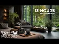 Spa Music for Relaxation Therapy Massage Calm Healing Ambience