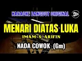 Download Lagu MENARI DI ATAS LUKA - IMAM S ARIFIN ||KARAOKE DANGDUT ORIGINAL || NADA COWOK