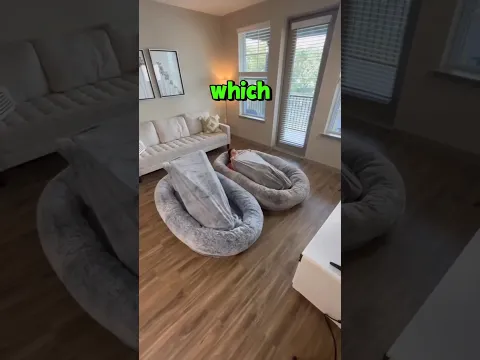 🛏️ Which Bed Would You Choose? 😴✨