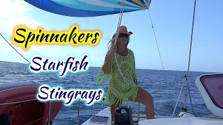 SDA204 Spinnakers, Starfish and Stingrays | Sailing the Bahamas