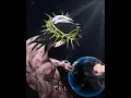 Download Lagu It has hated me first. ( Jesus Edit ) | JJBA | 「Manga Edit」