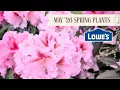 Lowe s Garden Center Tour May 2026 Calm Plant Shop With Me Zone 6b Stunning Spring Blooms