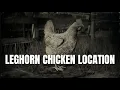 RDR2 Leghorn Chicken Location Animal Locations