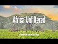Download Lagu Africa Unfiltered What it`s really like to travel overland
