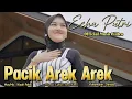 Download Lagu ECHA PUTRI - PACIK AREK AREK - DENDANG MINANG TERBARU (Official Music Video)