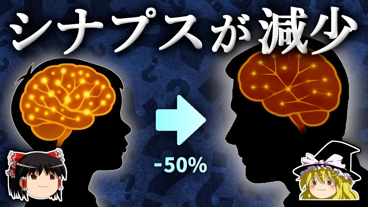 なぜ脳はせっかく作ったシナプスを壊すのか?【ゆっくり解説】