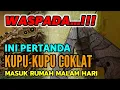 Download Lagu WASPADA DENGAN INI !! PERTANDA KUPU KUPU COKLAT MASUK RUMAH MALAM HARI, TANDA BAIK \u0026 TANDA BURUK