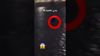 ابو عبايه ابو عبايه ابو عبايه دندنها