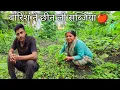 Download Lagu बारिश ने छीन ली सब्जियां🍎 pahadi village life pahadi lifestyle