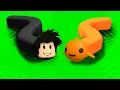 Download Lagu LOKIS MINHOCA PEIXE | Roblox - Wormface!