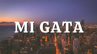 Standly El Barto Mi Gata Spanish Lyrics English Translations  Standly El Barto Mi Gata Spanish Lyrics English Translations