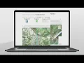 How to use FEMA s flood search tool