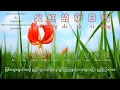 Download Lagu Huô Hóng de Sà Rì Lâng ( Chinese Song - mm sub )