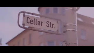                                       دندنها