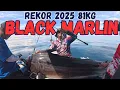 Download Lagu MEMANCING MONSTER BLACK MARLIN 81KG ‼️ JIGGING TARAKAN, KALIMANTAN UTARA ‼️