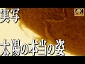 Download Lagu 【4K実写】CGではない太陽の本当の姿｜太陽の最深部への旅