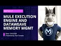Mule Execution Engine And Dataweave Memory Management