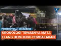 Lagu Kronologi Mata Elang Tewas Dikeroyok Berujung Bentrok di Kalibata