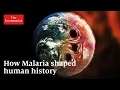 Download Lagu What is history's deadliest pandemic?