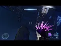 Halo Infinite Rat Cylix Easter Egg
