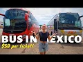 Travelling by BUS in Mexico a Full Review cost comfort safety