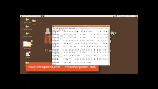 A9 Using Known Vulnerable Components - Buffer Overflow Local