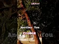 Download Lagu Another You, Cromok
