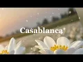 Download Lagu Jo vide Casablanca tiktok remix