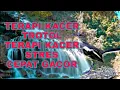 Download Lagu TERAPI KACER TROTOLAN CEPAT GACOR