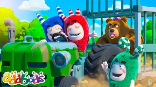 😱🐻 Beruang Mengejar Zee! | Oddbods | Kartun Lucu Kocak | @OddbodsIndonesia | ​Kartun Anak-Anak ​