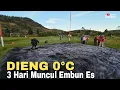 Download Lagu VIRAL !!! DIENG 0°C, 3 HARI MUNCUL EMBUN ES