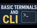 Kali Linux Basic Terminals and CLI - Part 2 Command Line Tutorial for Beginners