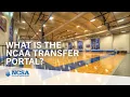 What is the NCAA Transfer Portal How Does It Work