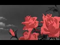 Download Lagu saint jhn ~ roses (imanbek remix) ﾉ slowed + reverb ﾉ