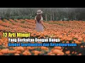 Download Lagu 12 Arti Mimpi yang Berkaitan dengan Bunga, Simbol Spiritualitas dan Kesempurnaan