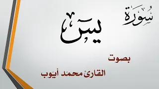 036 سورة يس محمد أيوب 
