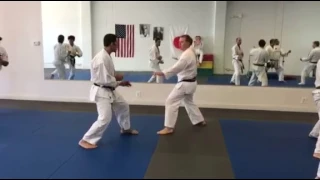 Kumite u mistra Avi Rokah
