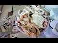 Download Lagu Arrange Girl’s Clothes In The Dormitory 🧼寮内の女子の服を整理する🧼 