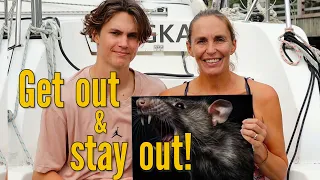 Evicting a stowaway – Sailing Thailand