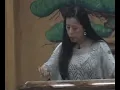 Meihua San Nong (Three Variations on the Plum Blossom)