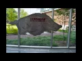 Dennis Crowen The Arkansas new Basketball practice facility
