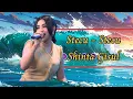 Download Lagu Stecu - Stecu Shinta Gisul Vidio Lirik🎧🎵