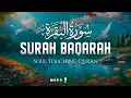 Download Lagu Most Beautiful surah baqarah saud shuraim l سورة البقرة كاملة فضيلة الشيخ سعود الشريم #quran