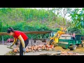 Download Lagu How to Use Trucks for Efficient Pig Pen Repairs and Farm Renovation